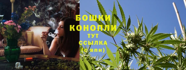ALPHA PVP Богородицк