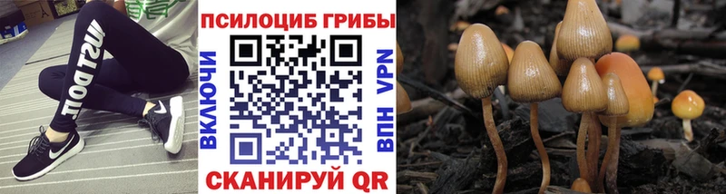 Галлюциногенные грибы ЛСД  магазин продажи наркотиков  мориарти состав  Красный Сулин  MEGA ссылки 